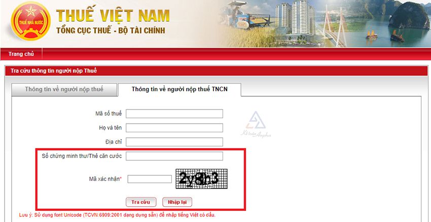 cach-dang-ky-tra-cuu-ma-so-thue-tiktok-shop-2