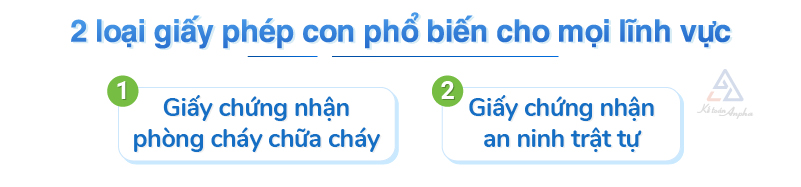 dich-vu-lam-giay-phep-con-05