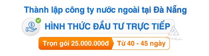dich-vu-thanh-lap-doanh-nghiep-fdi-tai-da-nang-03