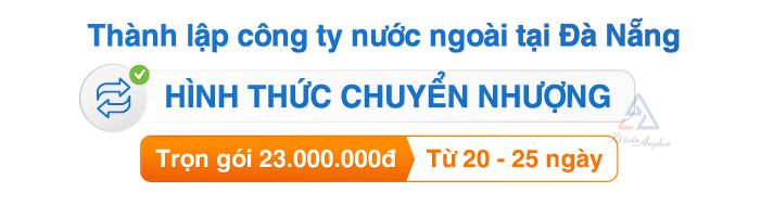 dich-vu-thanh-lap-doanh-nghiep-fdi-tai-da-nang-02202