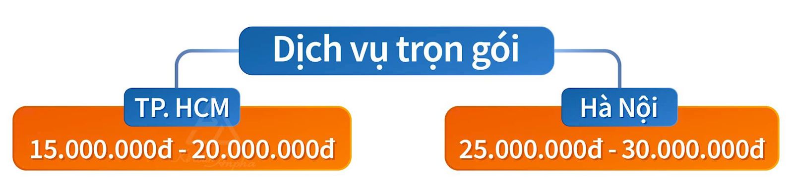 dich-vu-thay-doi-ten-doanh-nghiep-co-von-dau-tu-nuoc-ngoai-03