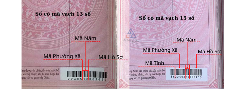 huong-dan-cach-phan-biet-so-hong-that-gia-04