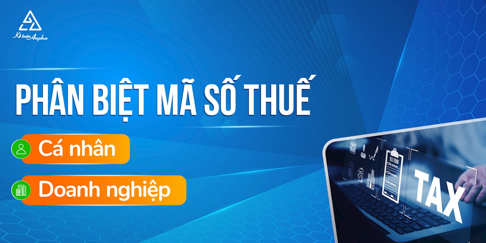 ma-so-thue-ca-nhan-va-ma-so-thue-cong-ty-01