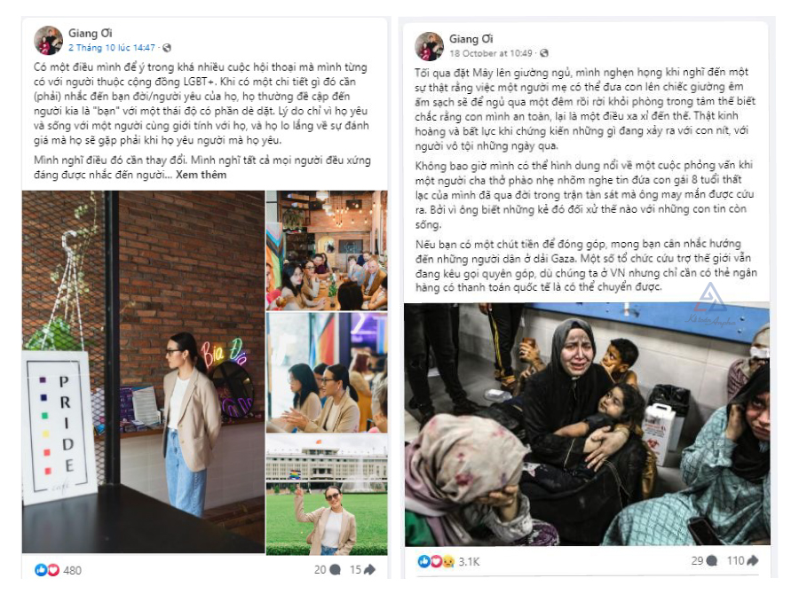 phan-loai-trang-thong-tin-dien-tu-06