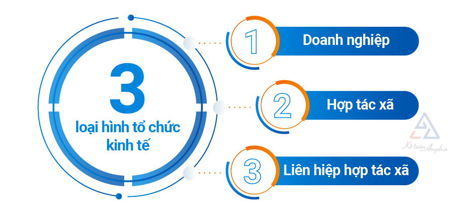 quy-dinh-ve-cac-loai-hinh-to-chuc-kinh-te-02