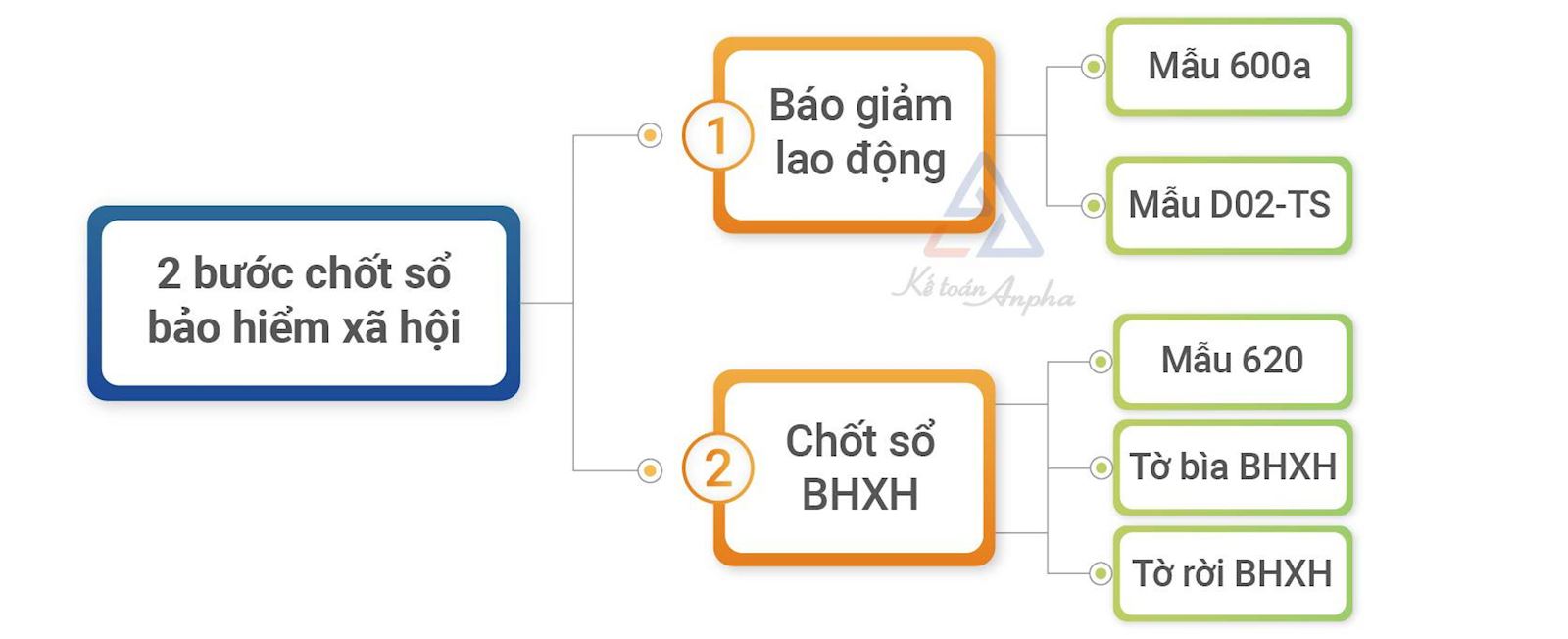 thu-tuc-chot-so-bhxh-02