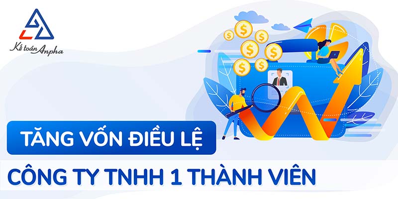 thu-tuc-tang-von-dieu-le-cong-ty-tnhh-01